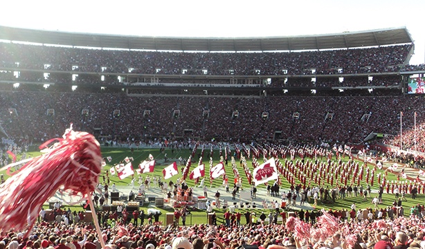 Distribuidor Todo de Panel, 20 años de trayectoria