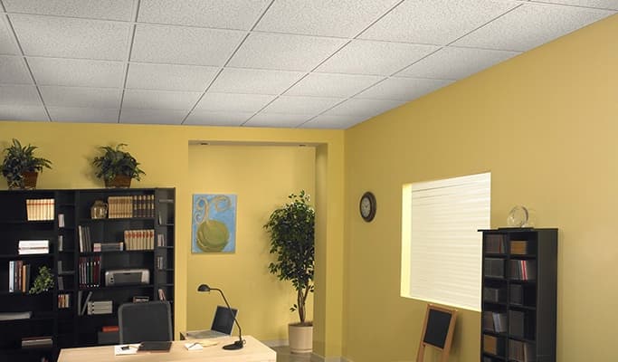 Plafones-Armstrong-Panel-Rey